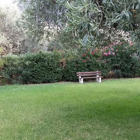 Harmony كامينا فورلا